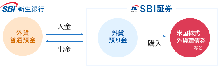 SBI新生銀行の外貨預金とSBI証券の外貨預り金は入出金できる!