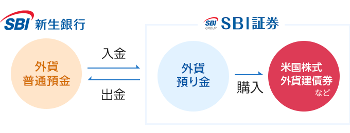 SBI新生銀行の外貨預金とSBI証券の外貨預り金は入出金できる!