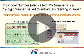 My Number System