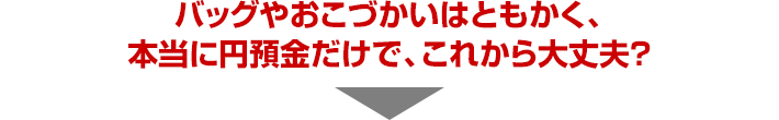 バッグやおこづかいはともかく、本当に円預金だけで、これから大丈夫?